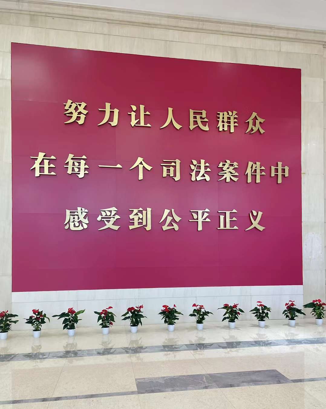 人民法院在线服务立案流程------网上立案审核通过后要做什么。